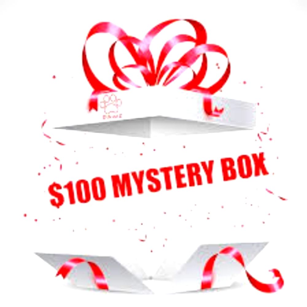 $100 dollar mystery box